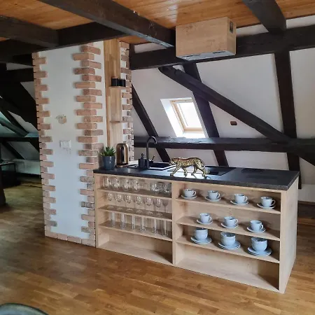 Appartement Galerie Lucia 5 -loft Plzeň