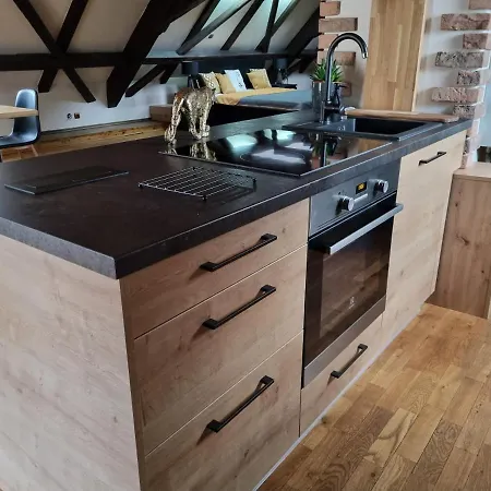 Apartment Galerie Lucia 5 -loft *