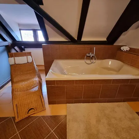 Apartment Galerie Lucia 5 -loft Plzen