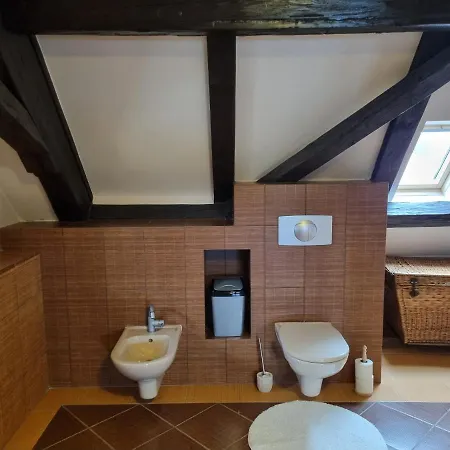 Apartment Galerie Lucia 5 -loft Plzen