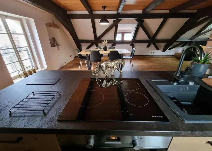 Galerie Lucia 5 -loft Apartment