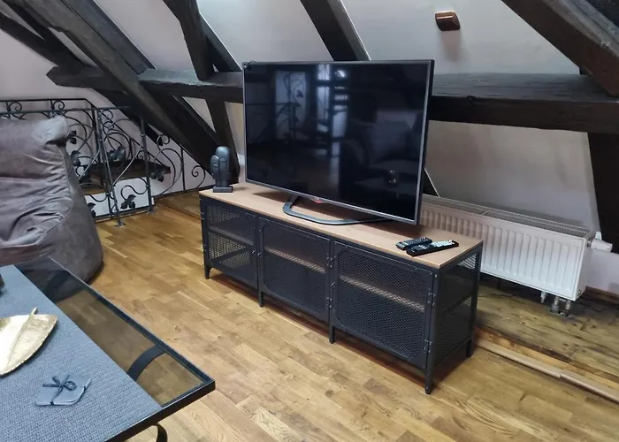 Galerie Lucia 5 -loft Apartment Plzen