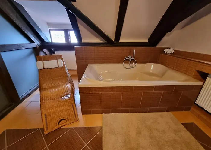 Διαμέρισμα Galerie Lucia 5 -loft Πίλζεν