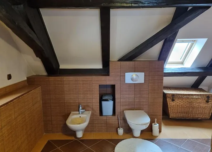 Διαμέρισμα Galerie Lucia 5 -loft Πίλζεν